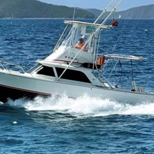 1964 Bertram 31 Sportfisher 'Double Diamond'