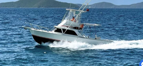 1964 Bertram 31 Sportfisher 'Double Diamond'