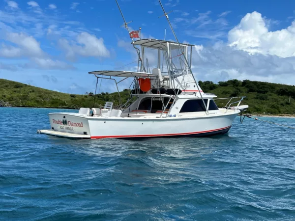 1964 Bertram 31 Sportfisher 'Double Diamond' - Image 2