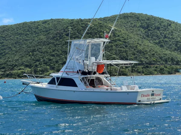 1964 Bertram 31 Sportfisher 'Double Diamond' - Image 5