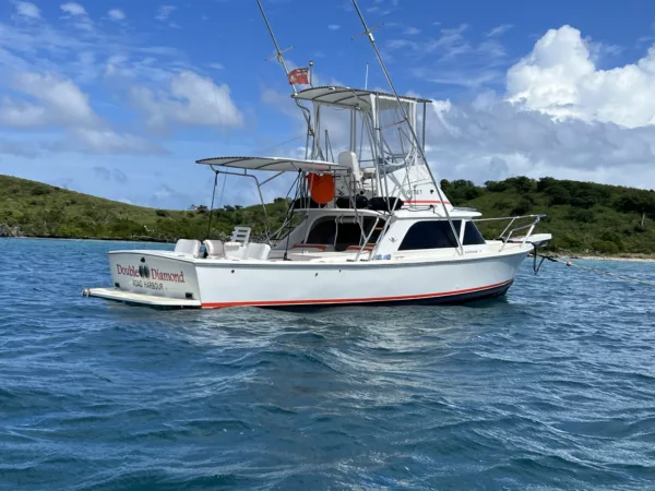 1964 Bertram 31 Sportfisher 'Double Diamond' - Image 17